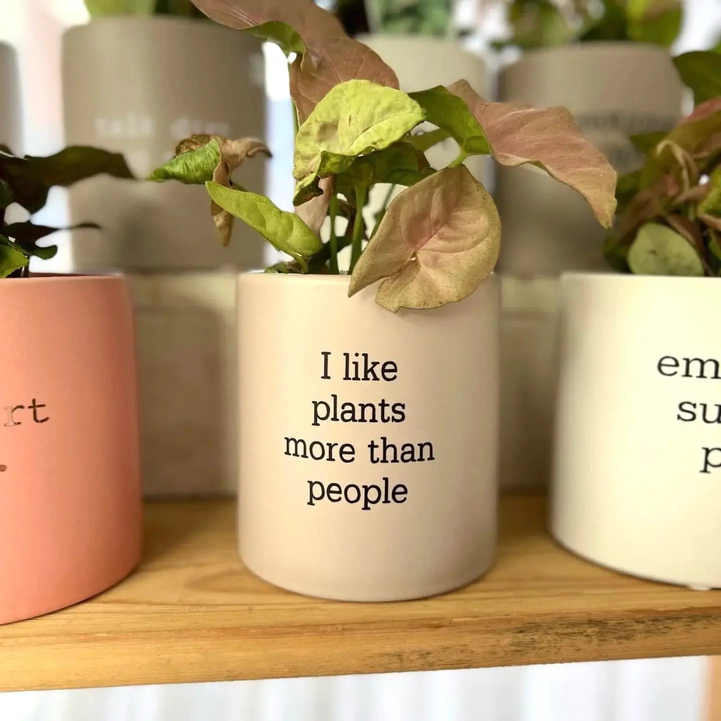 satinca x Mad Plant ladies 'I like plants more than people' Pun Pot satinca