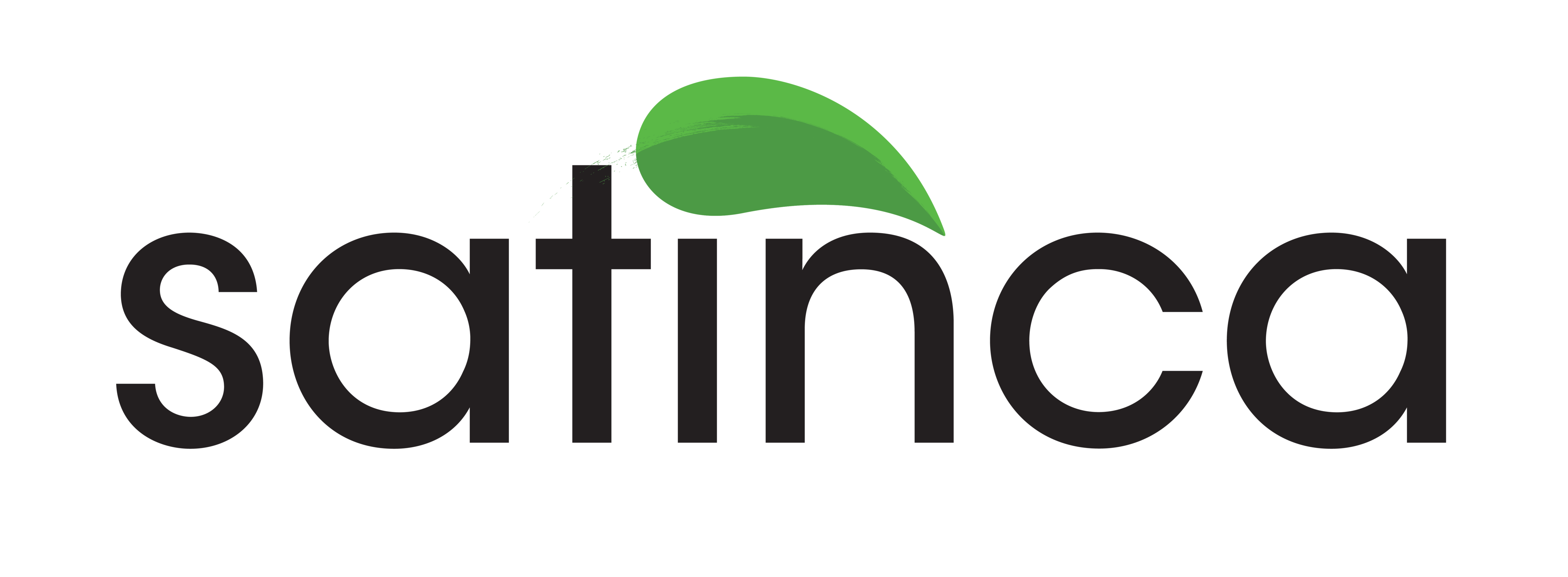 satinca logo
